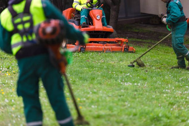 A landscaping crew working on the grounds